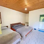 Driti 3* Nderlysaj