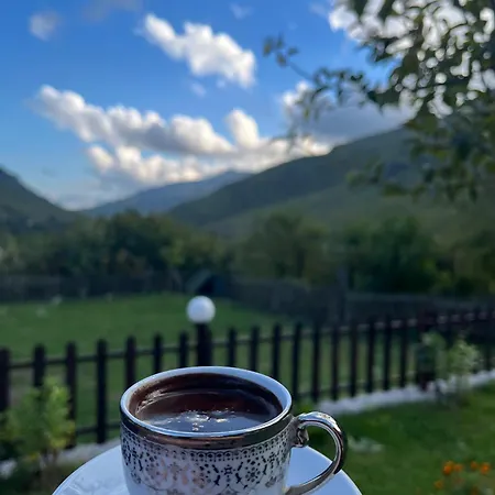 Bed and breakfast Driti