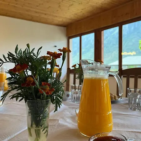 Bed & Breakfast Driti 3*