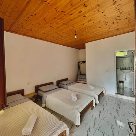 Bed and breakfast Driti 3*