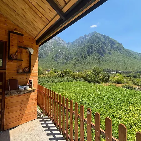 Bed and breakfast Driti Nderlysaj