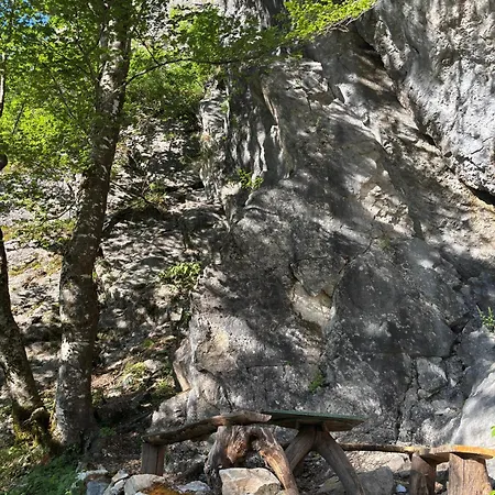 Driti Oda ve Kahvaltı 3*