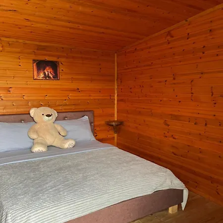 Bed and breakfast Driti