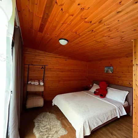 Driti Bed and breakfast