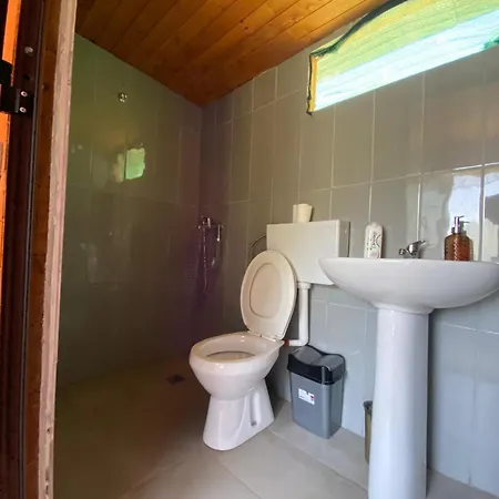 Bed and breakfast Driti