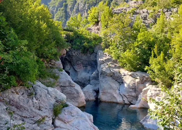 Bed & Breakfast Driti Nderlysaj