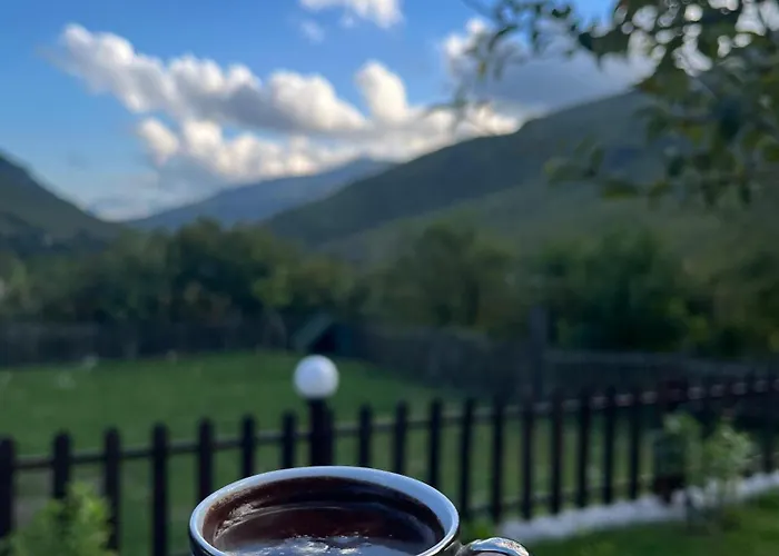 Bed & Breakfast Driti